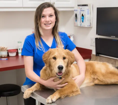 Staff member with Golden Retriever at The Animalife Veterinary Center at Mission Hills